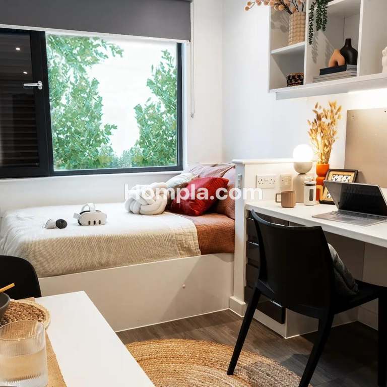 room picture