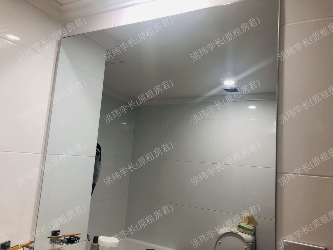 184/11 Potter Street公寓