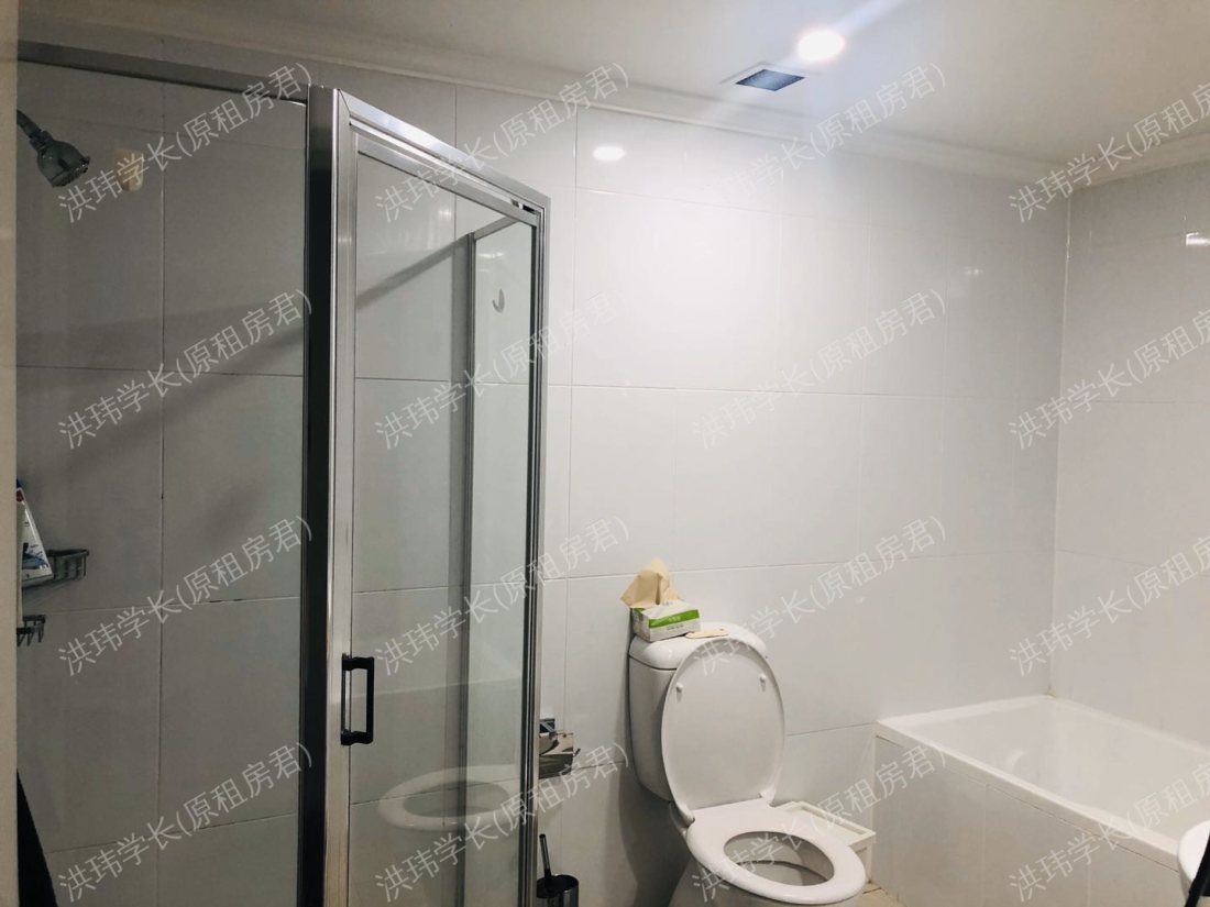 184/11 Potter Street公寓