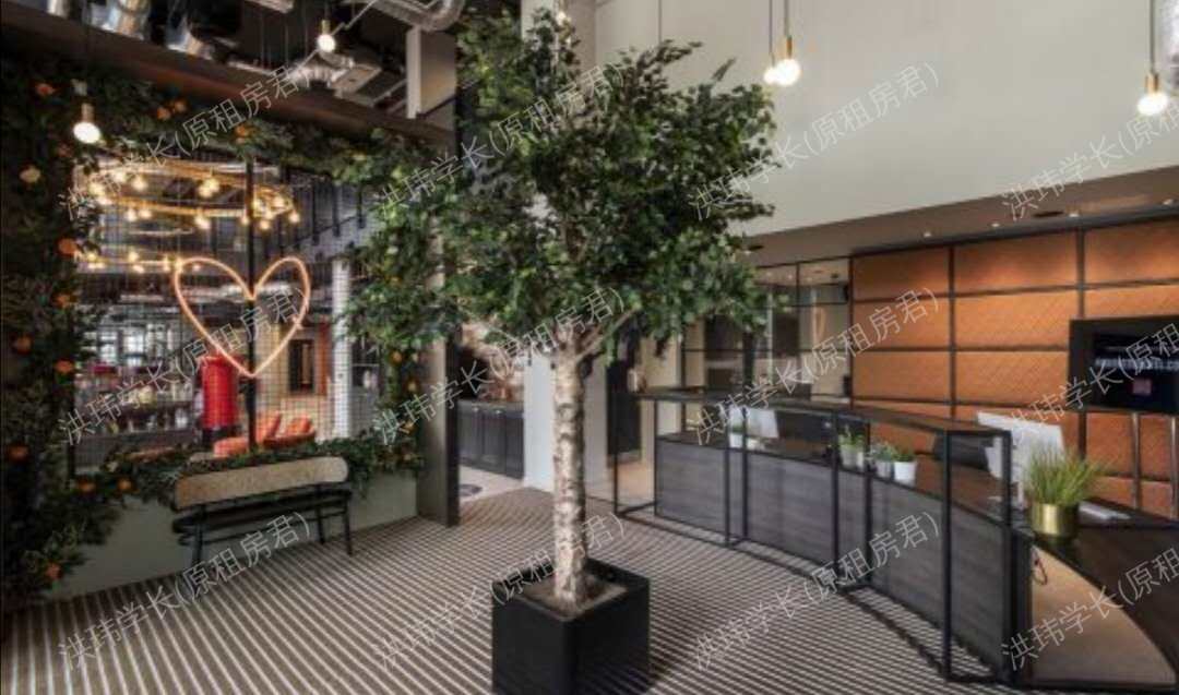 rooms picture