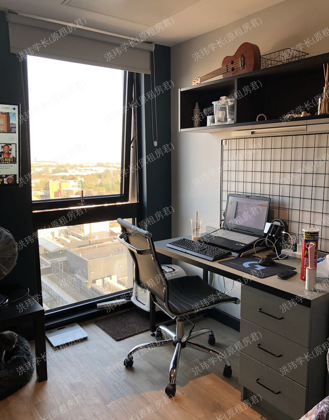 rooms picture