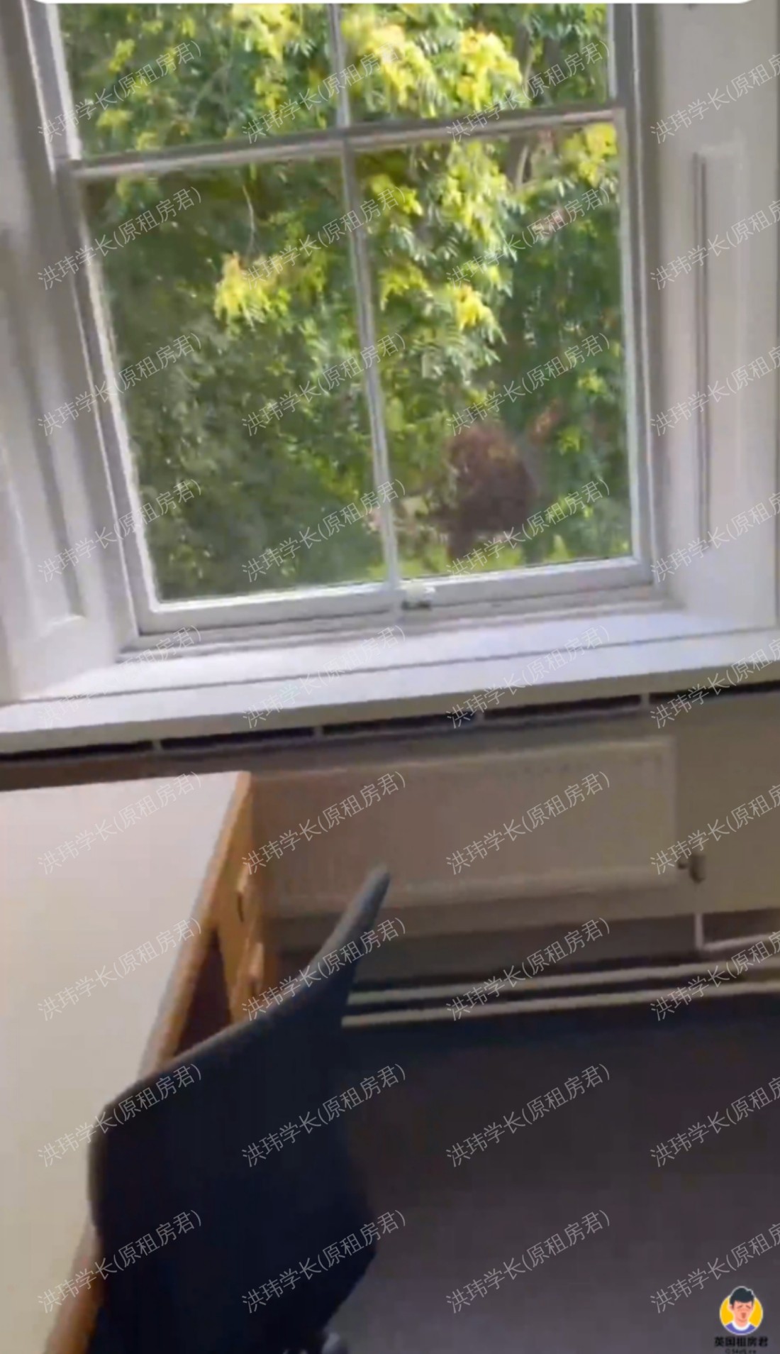 Connaught Hall公寓