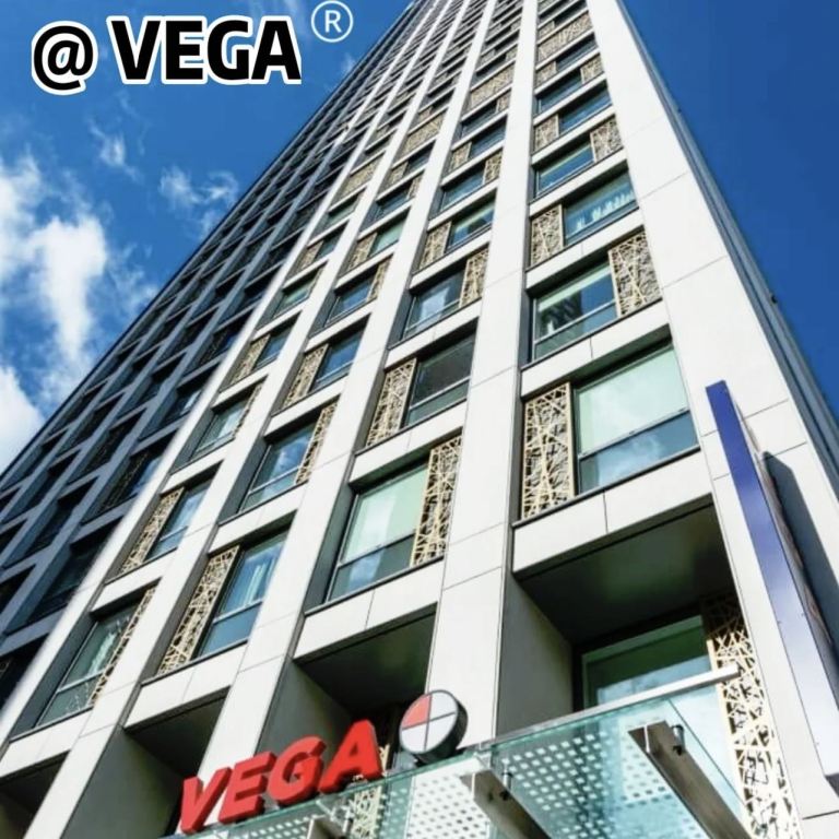 Vega转租