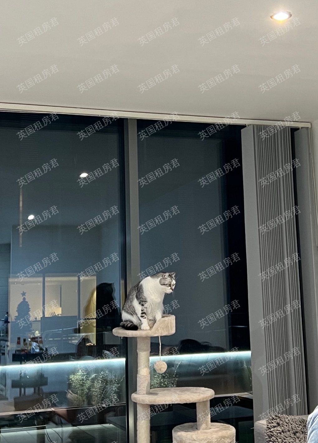 velocity village公寓