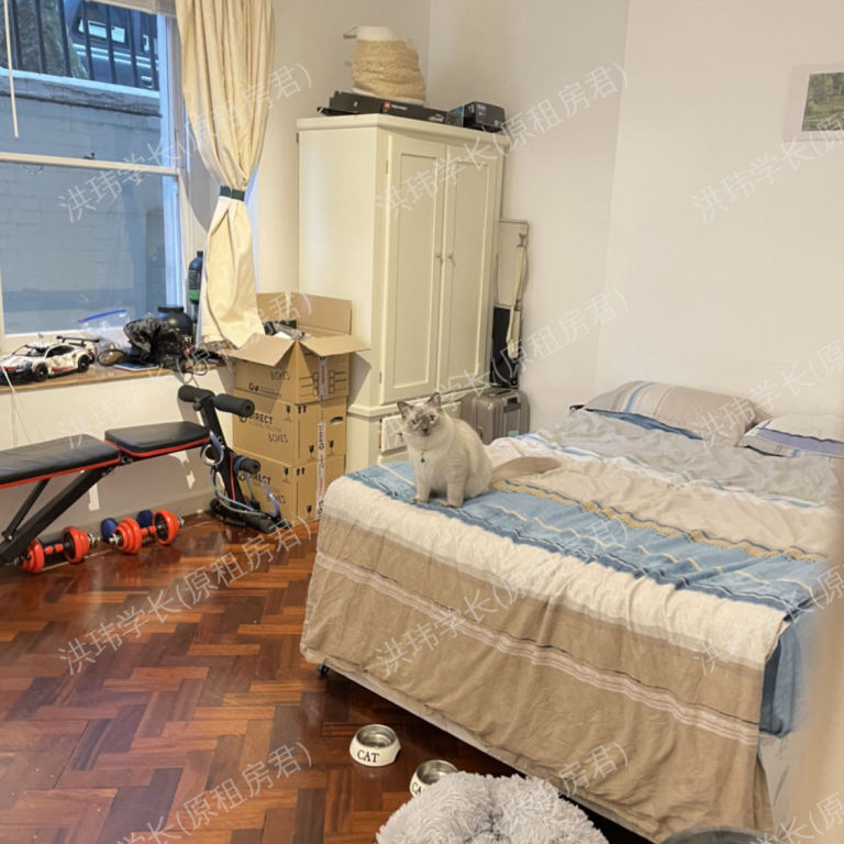 rooms picture