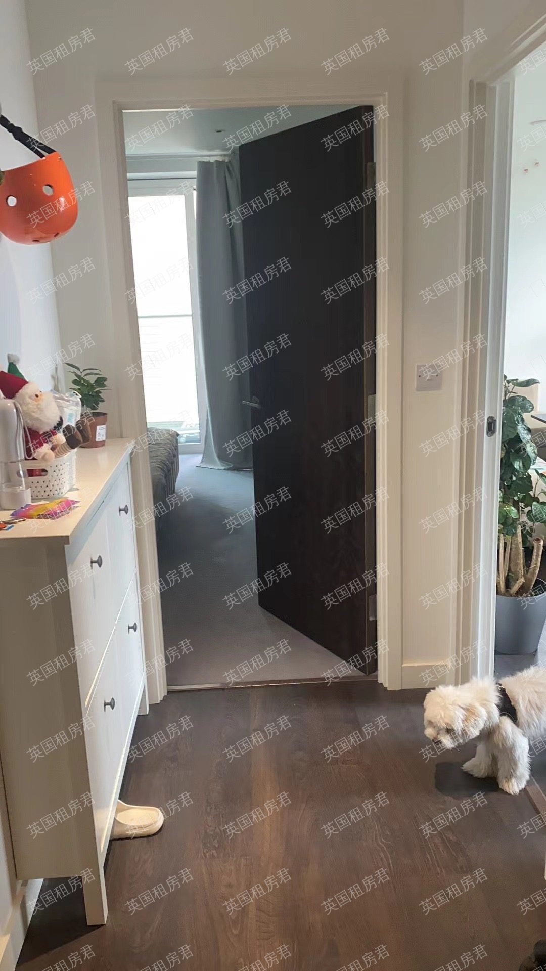 Skyline apartment公寓