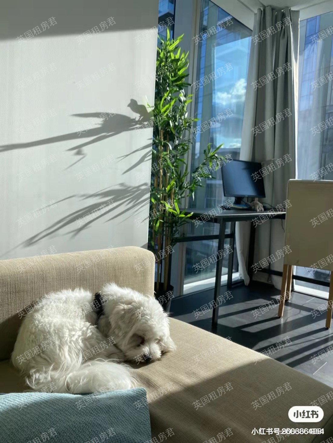 Skyline apartment公寓