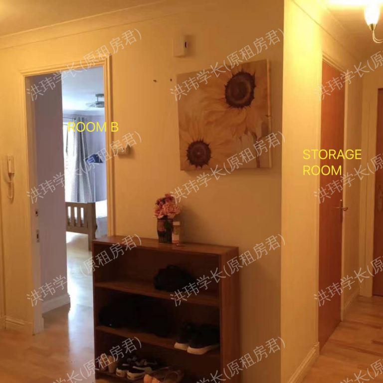 rooms picture