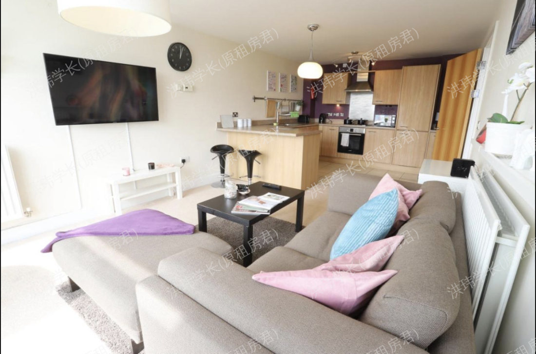 伯明翰市中心2b2b园景公寓整租带车位公寓