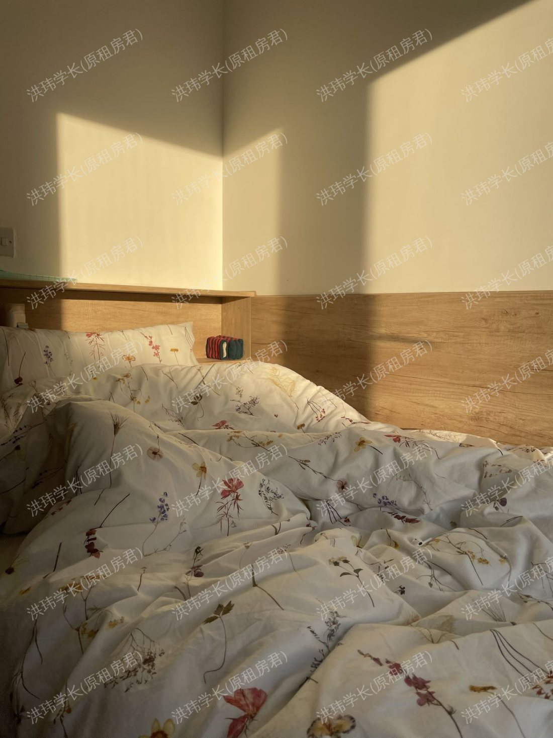 rooms picture