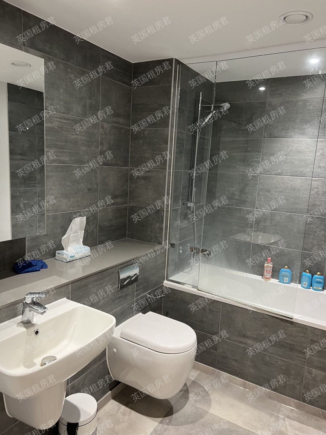 Affinity living embankment west 公寓