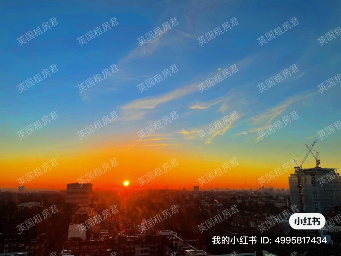 Quadrangle Tower公寓