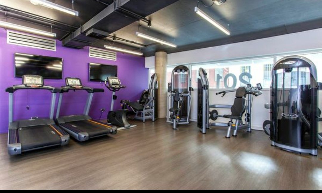 Iq student accommodation highbury 公寓