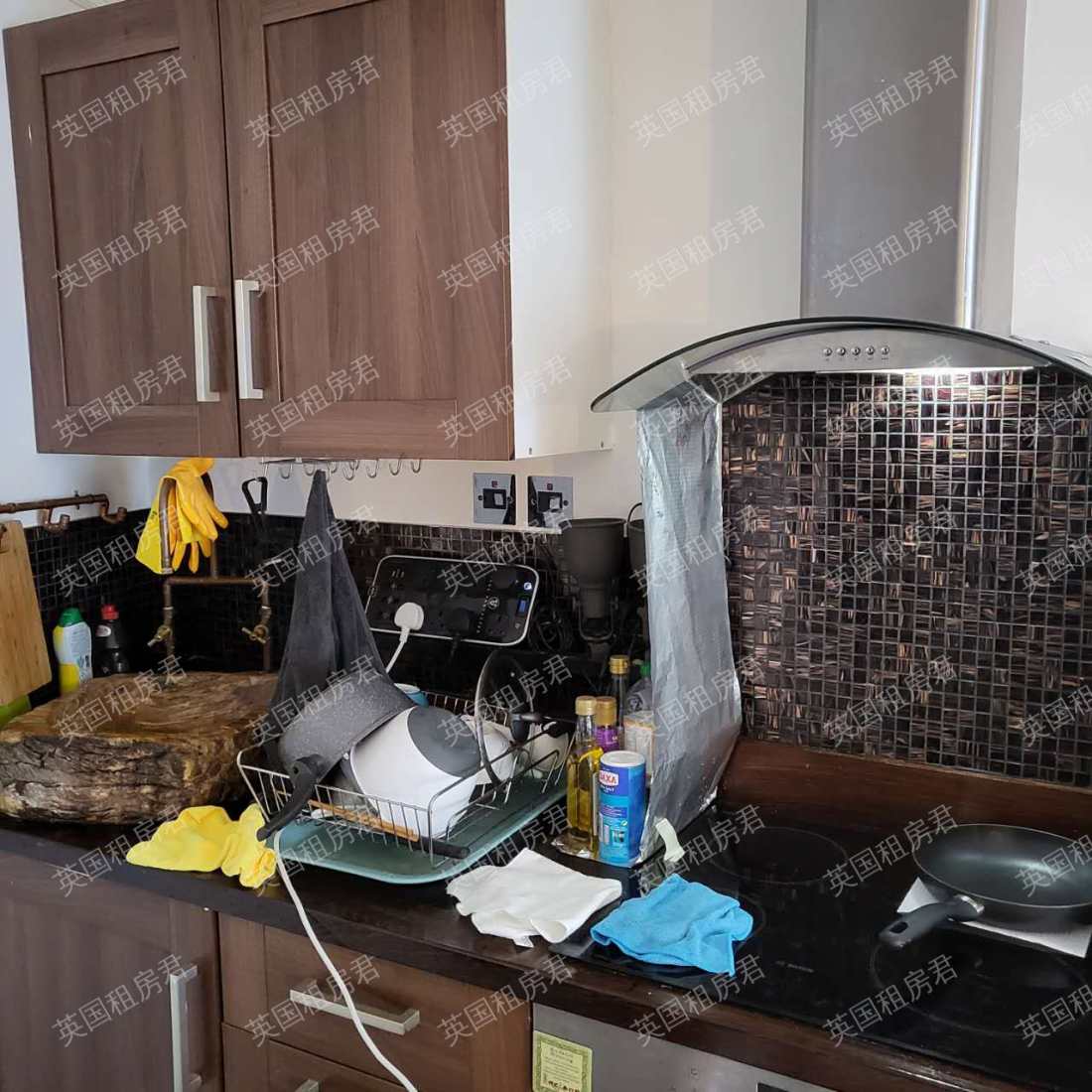 116 Carr Street公寓