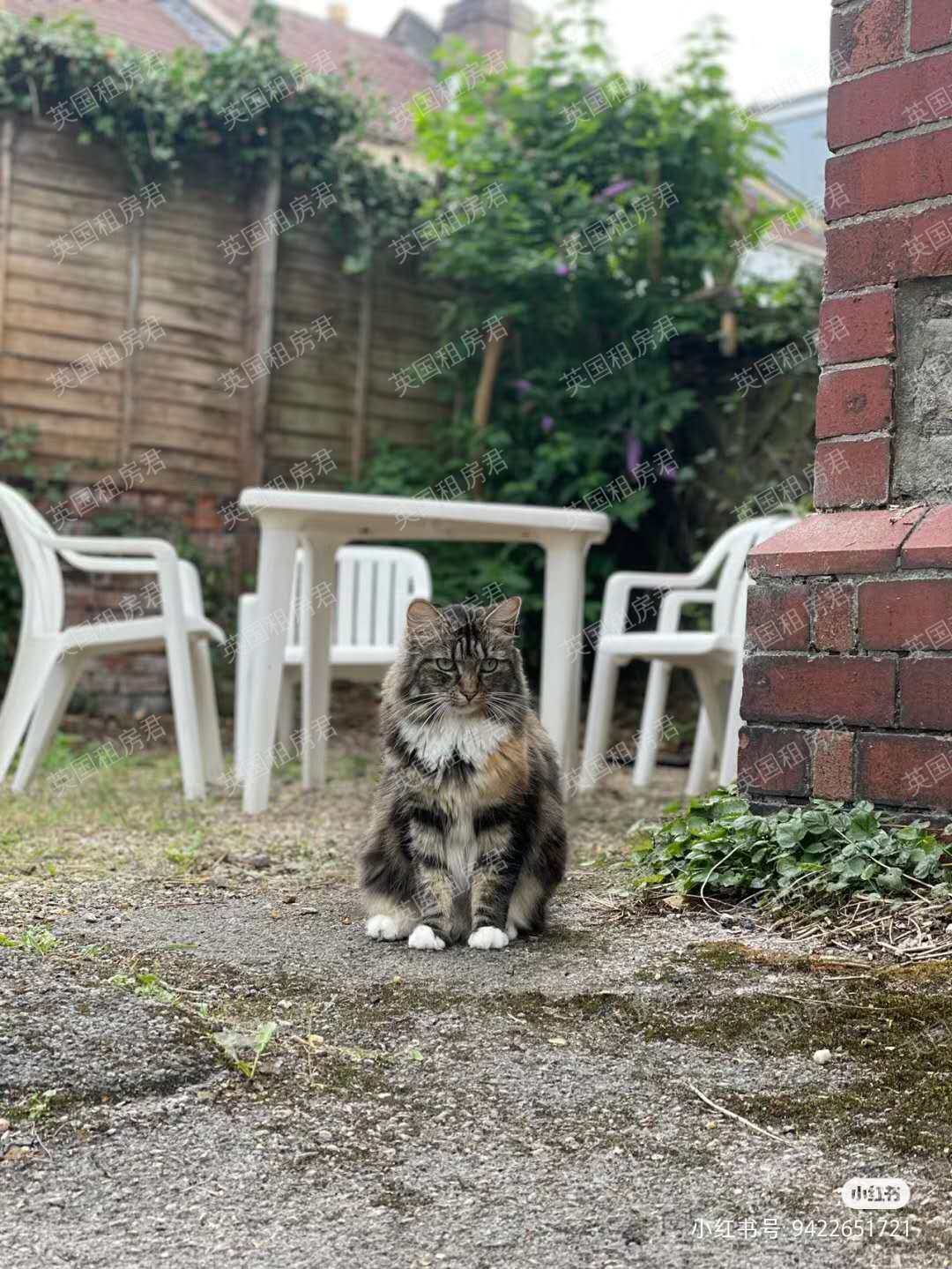 St. Matthews House公寓