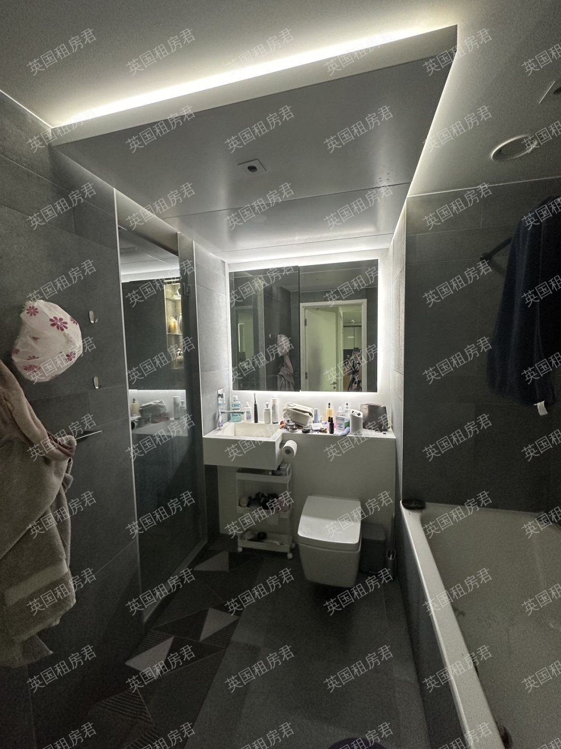 Canary Wharf / Isle of Dogs - Dollar Bay Point公寓