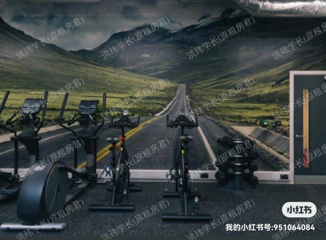 picturehouse apartment公寓