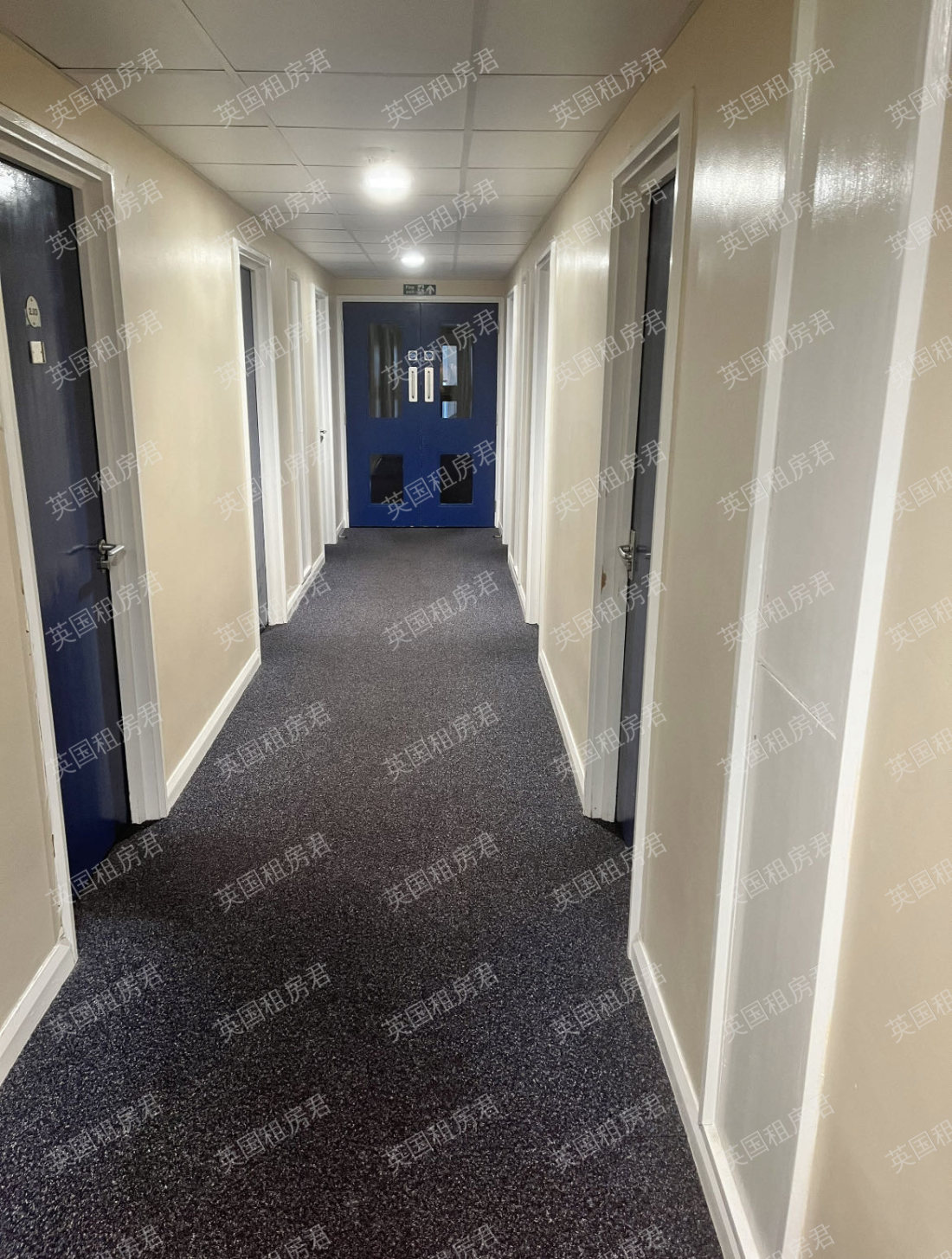 Ifor Evans Hall公寓