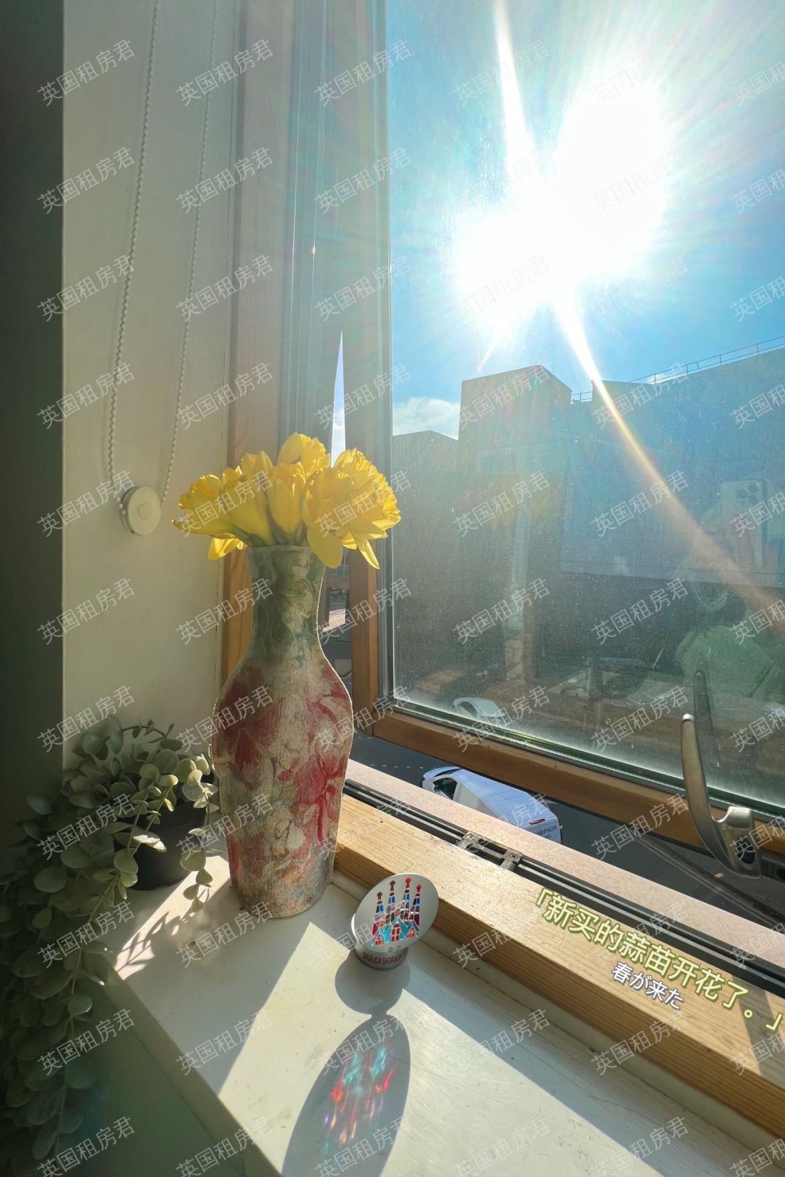 IQ student accommodation公寓