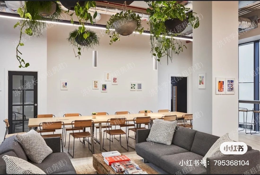 the Collective公寓