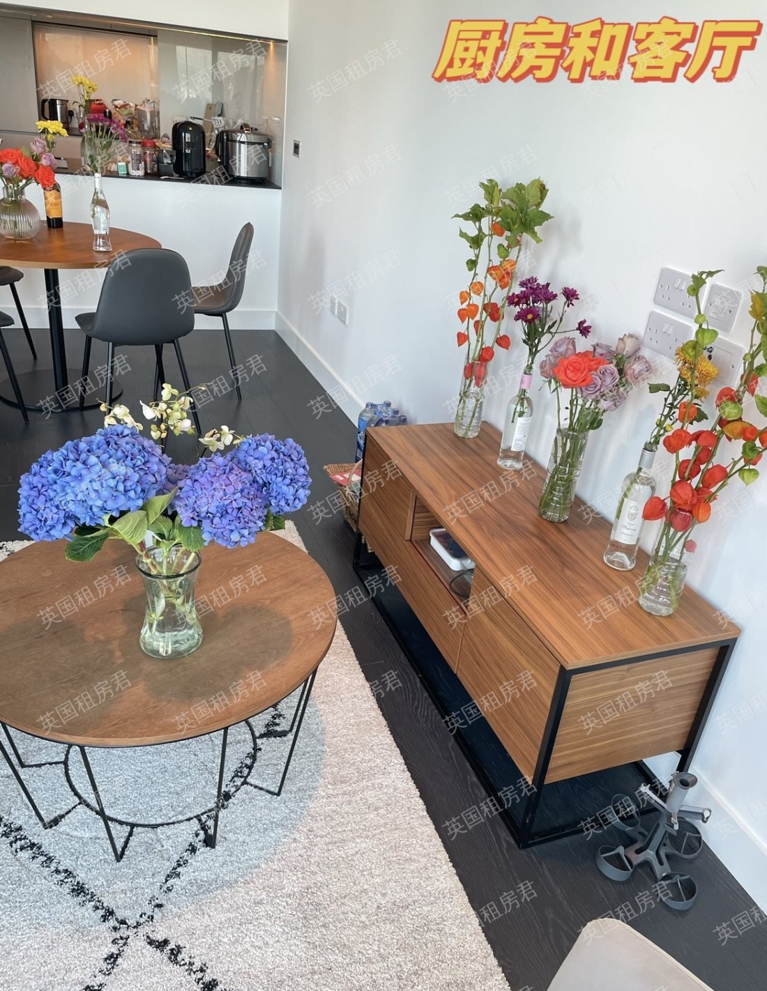 私人公寓 MN-The Madison Amory Tower公寓