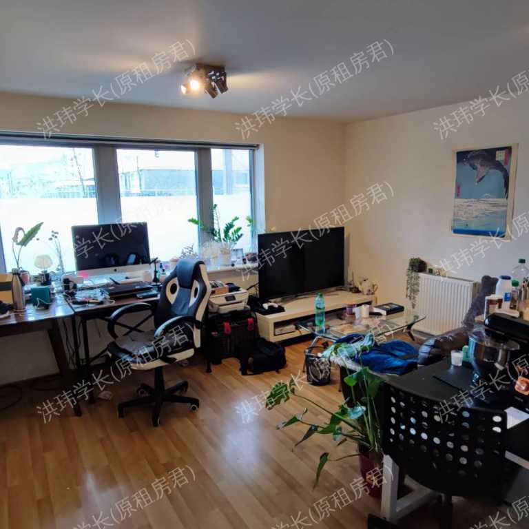 rooms picture