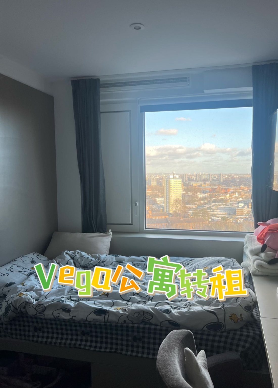 Vega student accommodation公寓