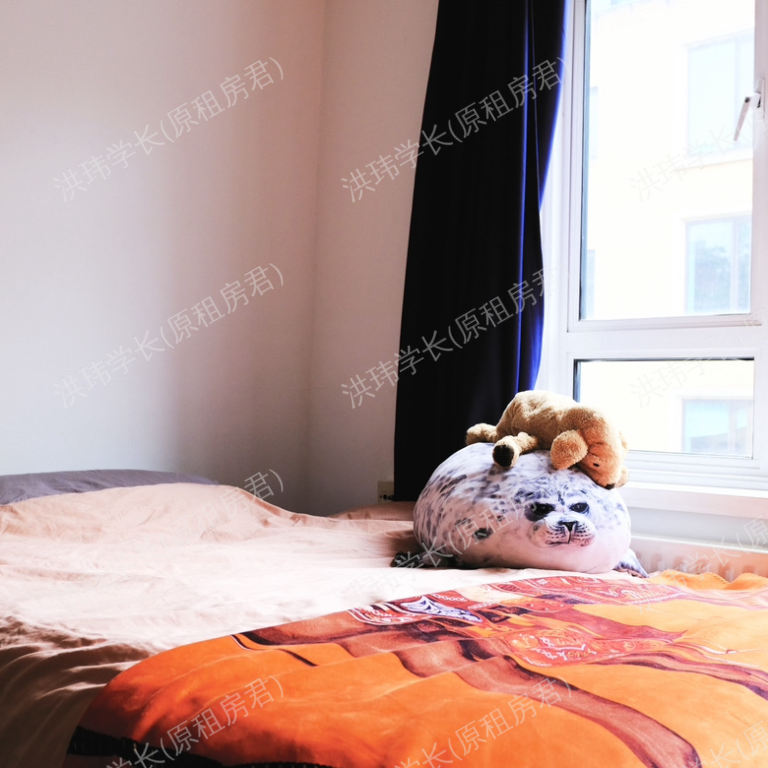 rooms picture