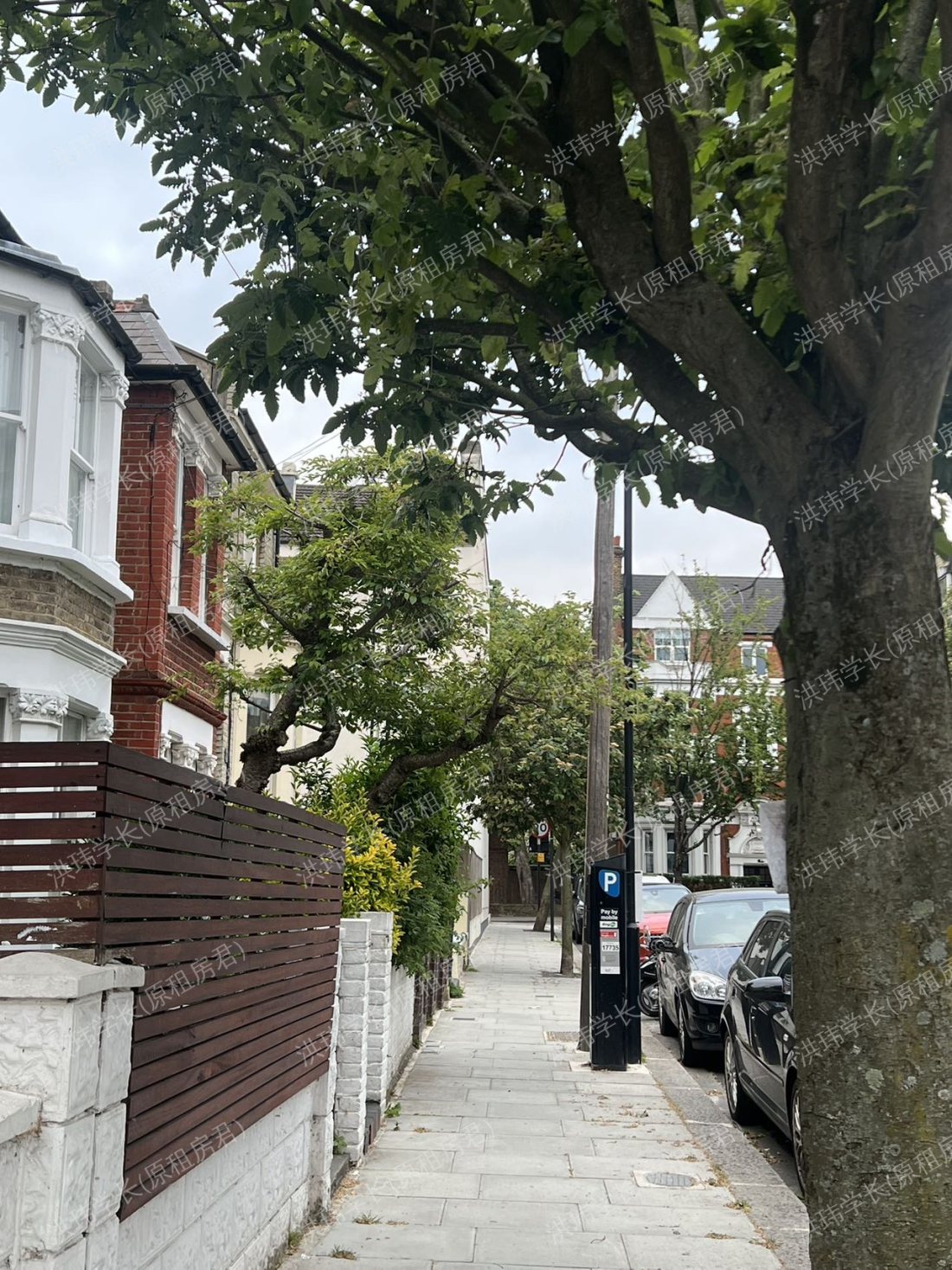 56 Davisville road，小Loft公寓