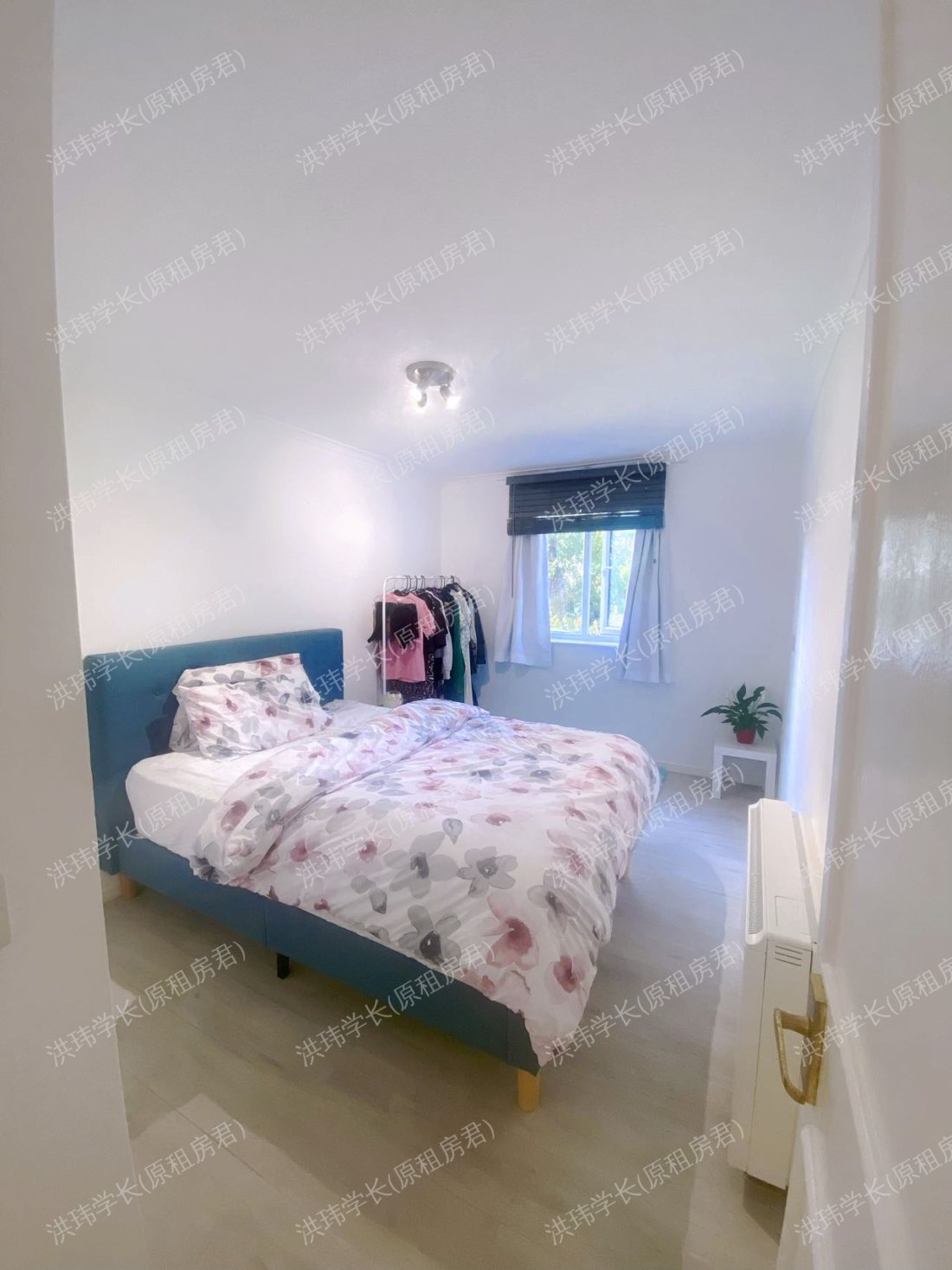 rooms picture
