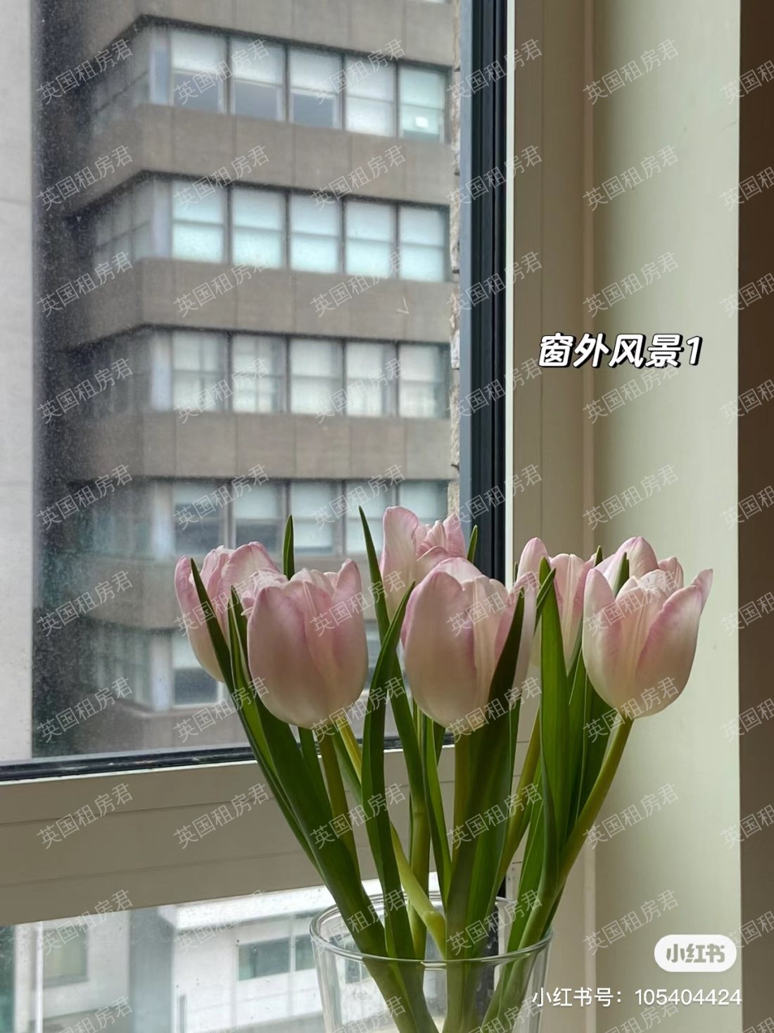Stapleton House公寓