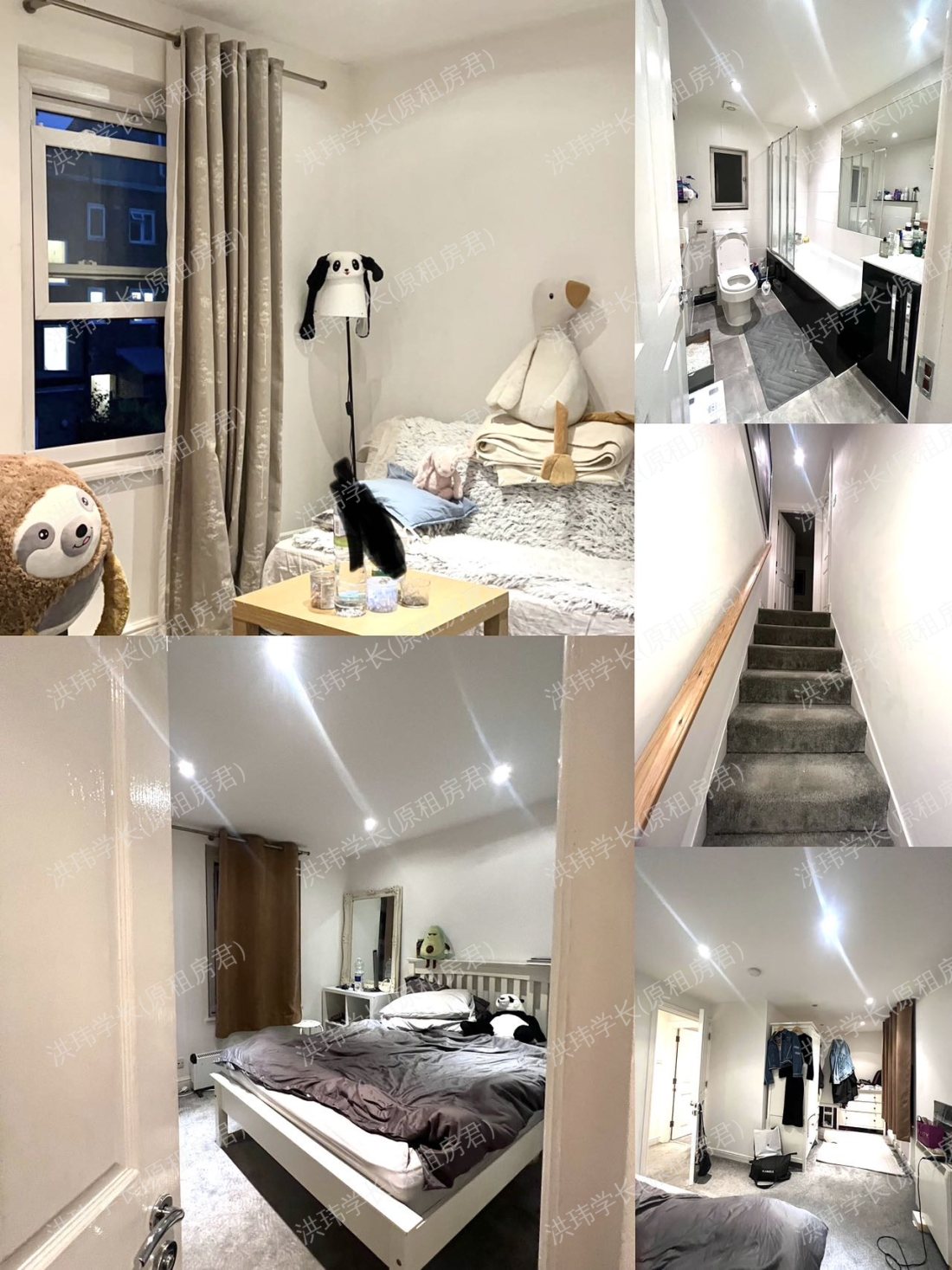 56 Davisville road，小Loft公寓
