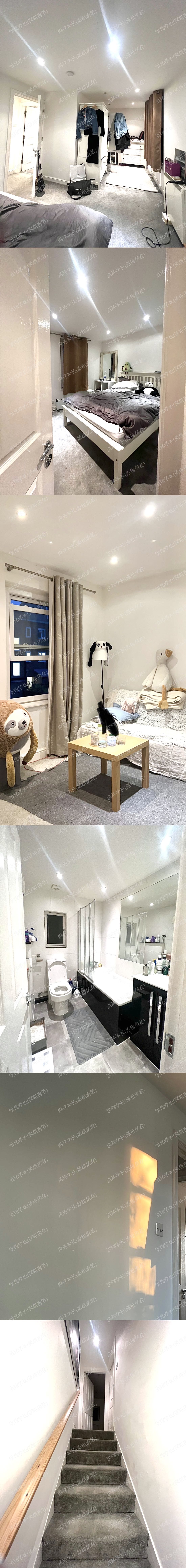 56 Davisville road，小Loft公寓