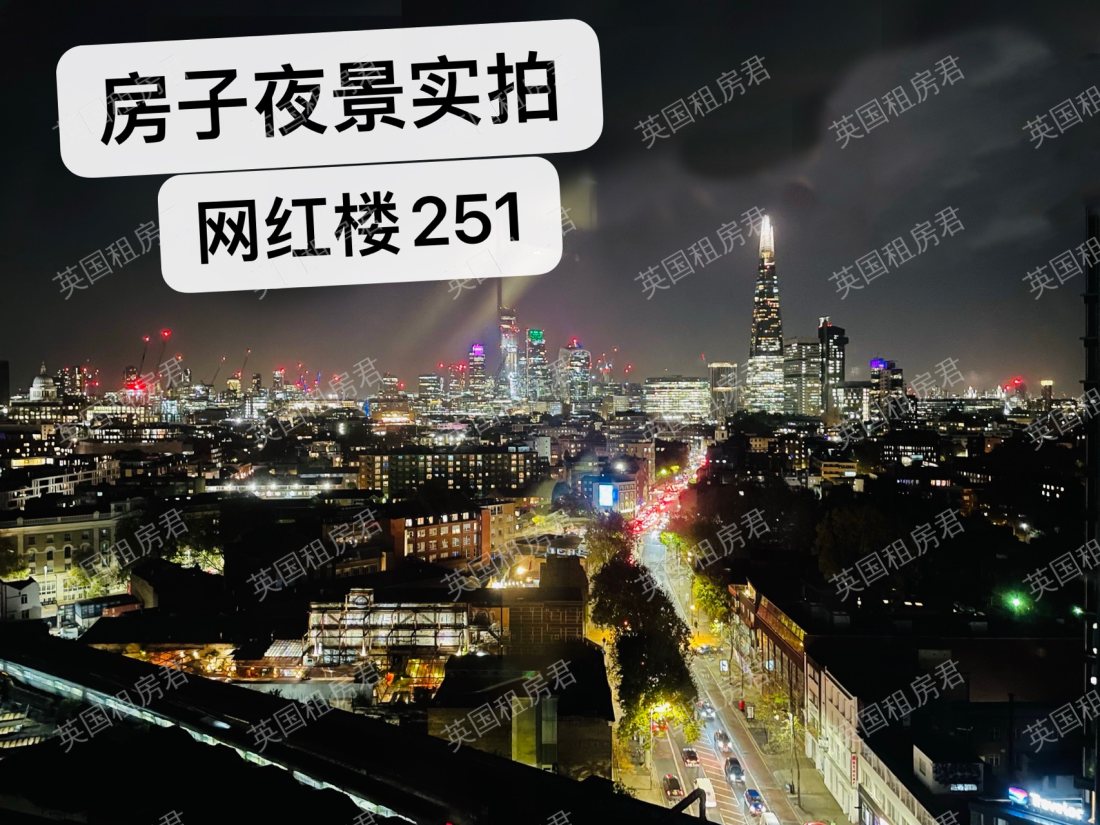 251 TWO FIFTY-ONE 公寓