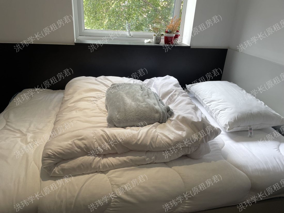 new park student accommodation公寓