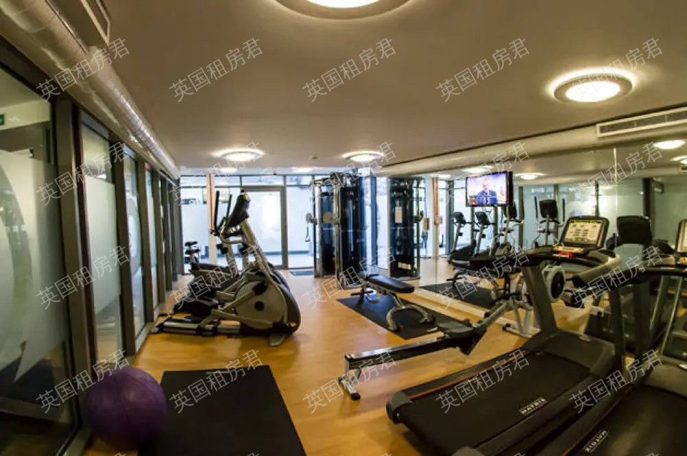 Griffon Studios公寓