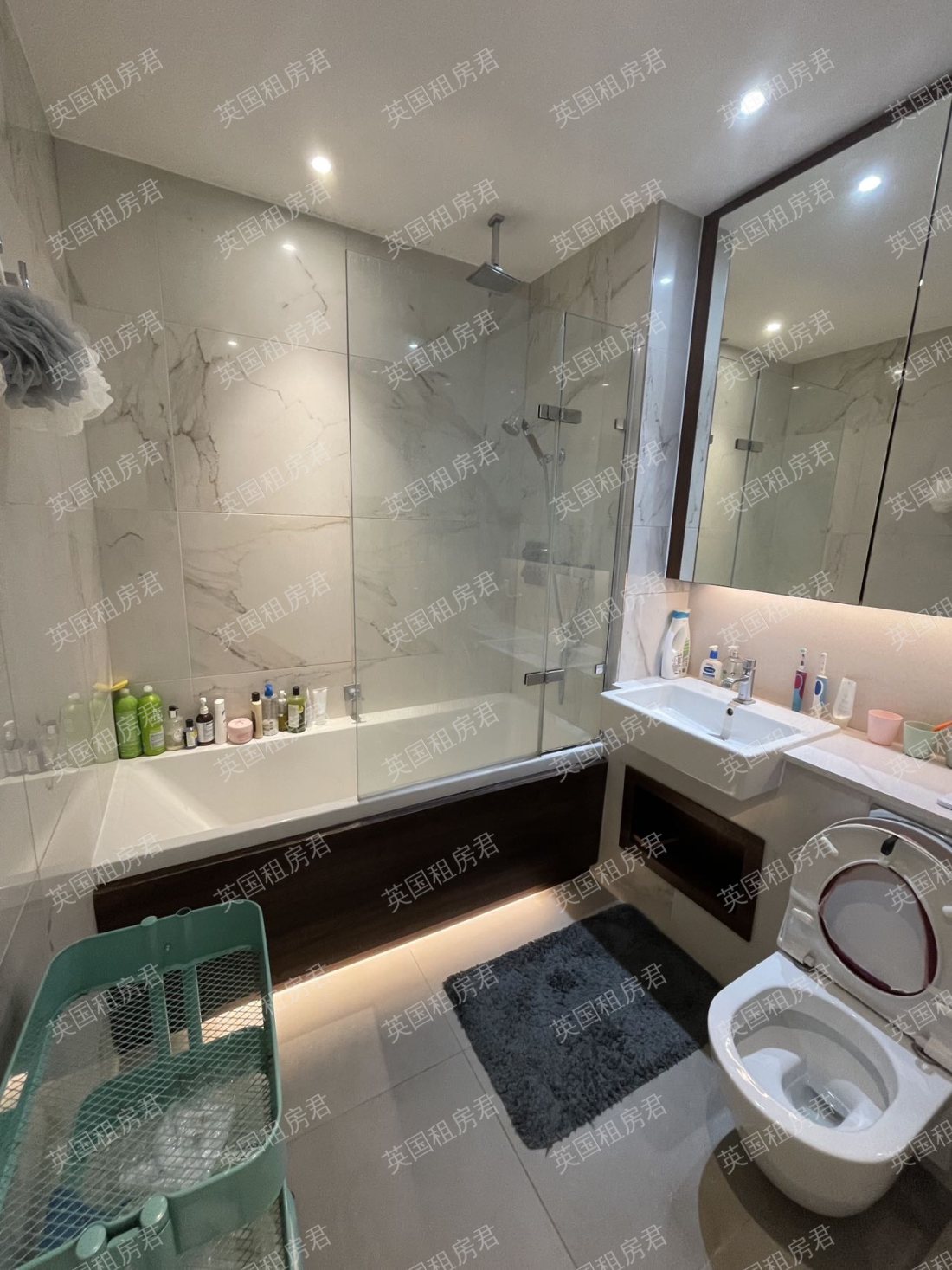 Fulham Riverside 公寓