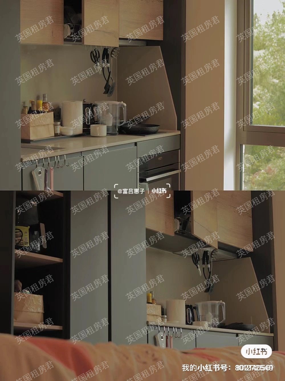 Vita Cannon Park公寓