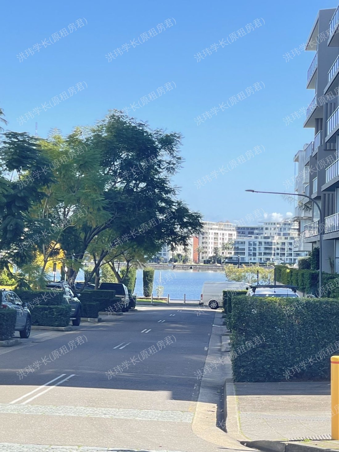 21 Marquet St, Rhodes 可续租公寓