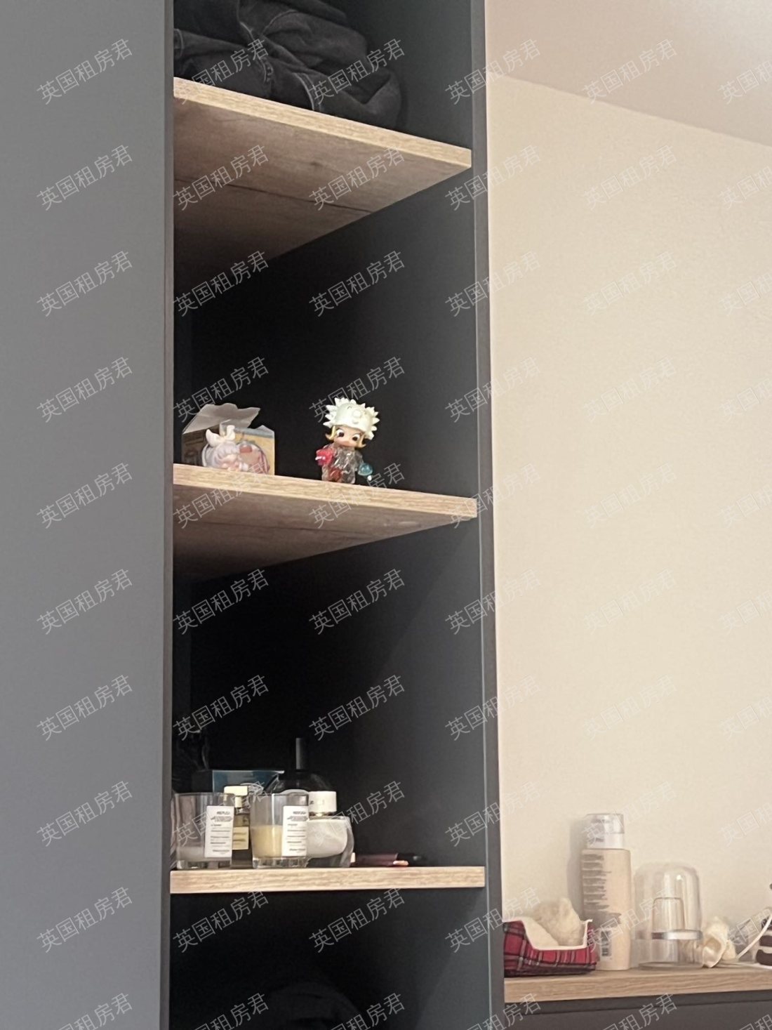 Vita Cannon Park公寓