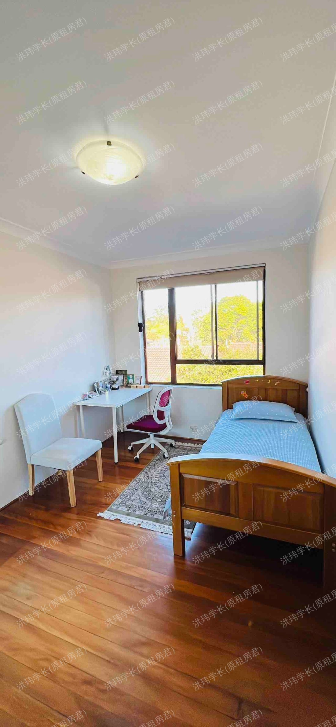 88 Albert rd Strathfield公寓