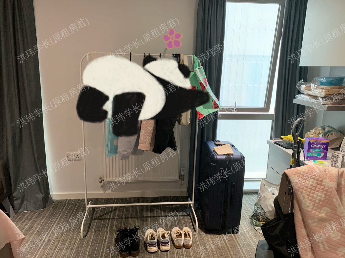 rooms picture