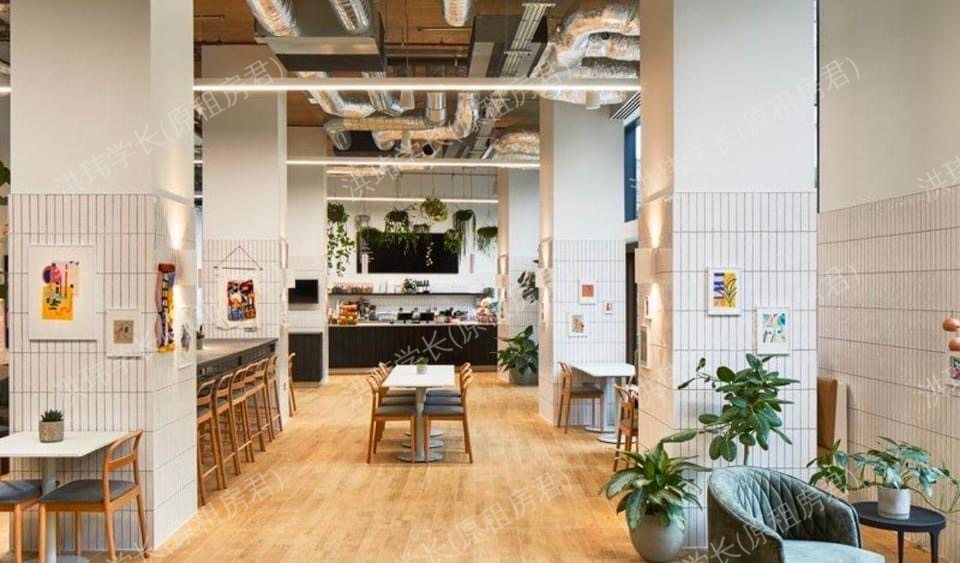 The collective 公寓