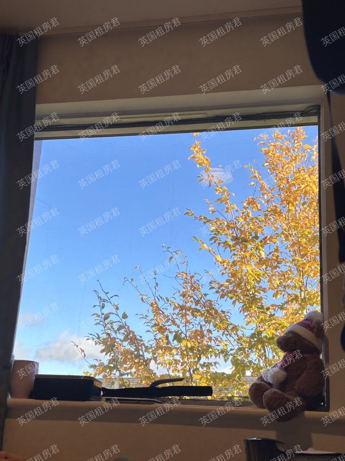 Vita Lawrence Street公寓