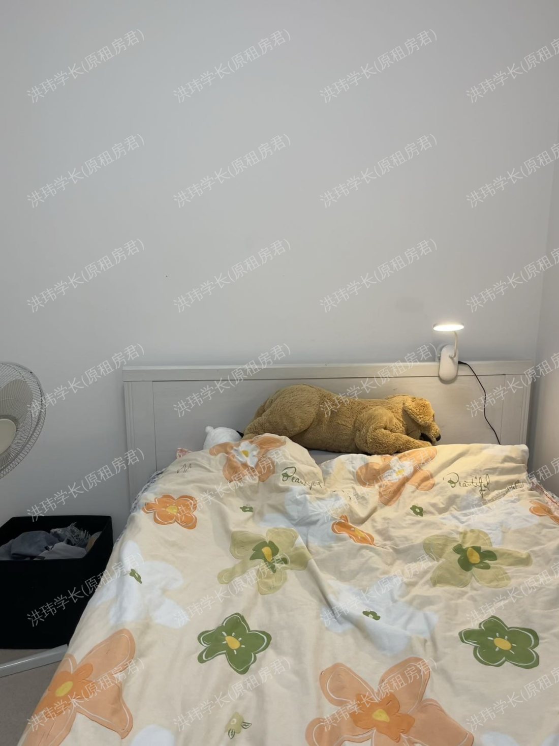 Brodie Spark Drive公寓