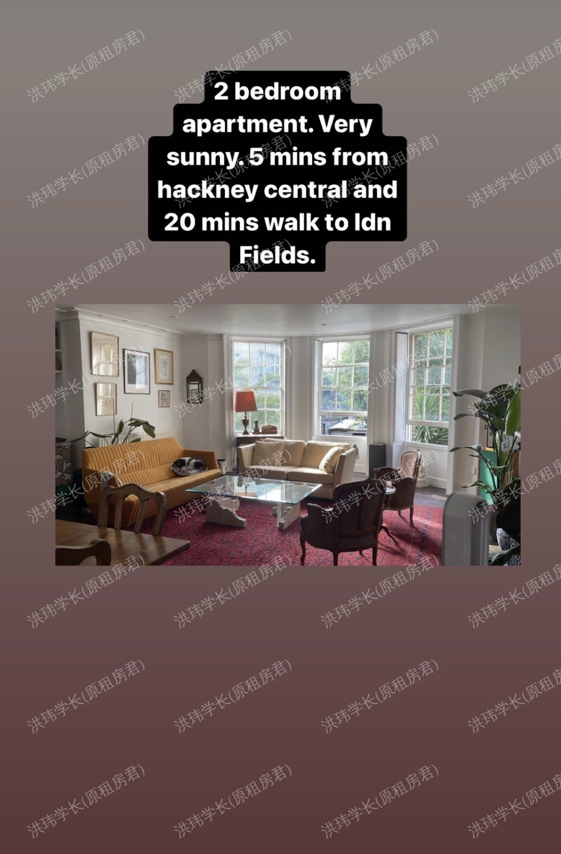 143 b lower Clapton rd公寓