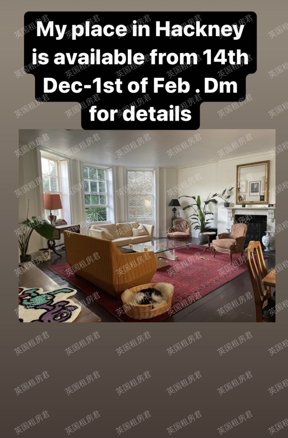 143 b lower Clapton rd公寓