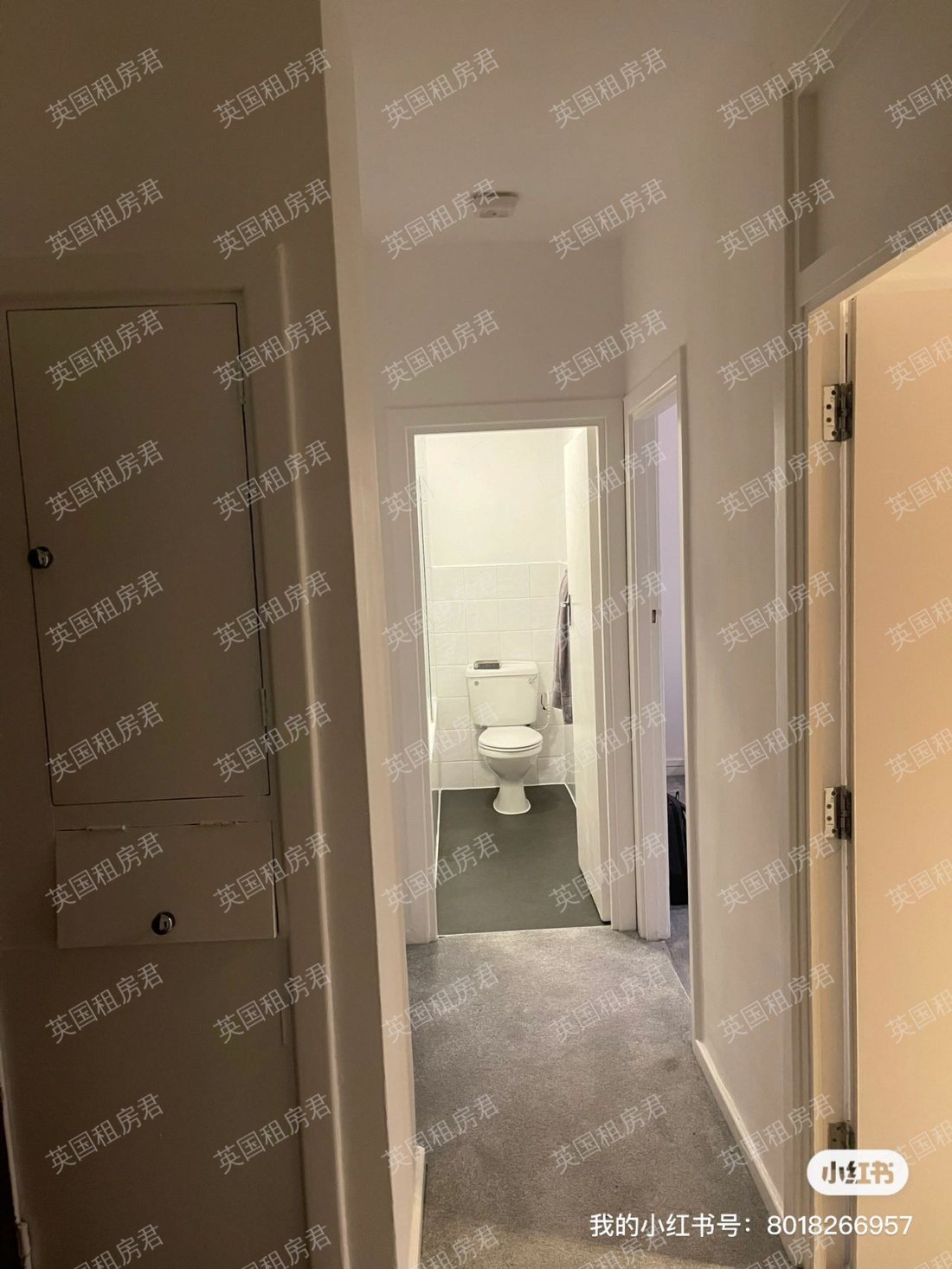 Dolphin Square公寓