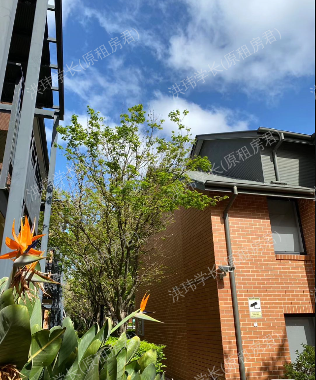 Sydney University Village公寓