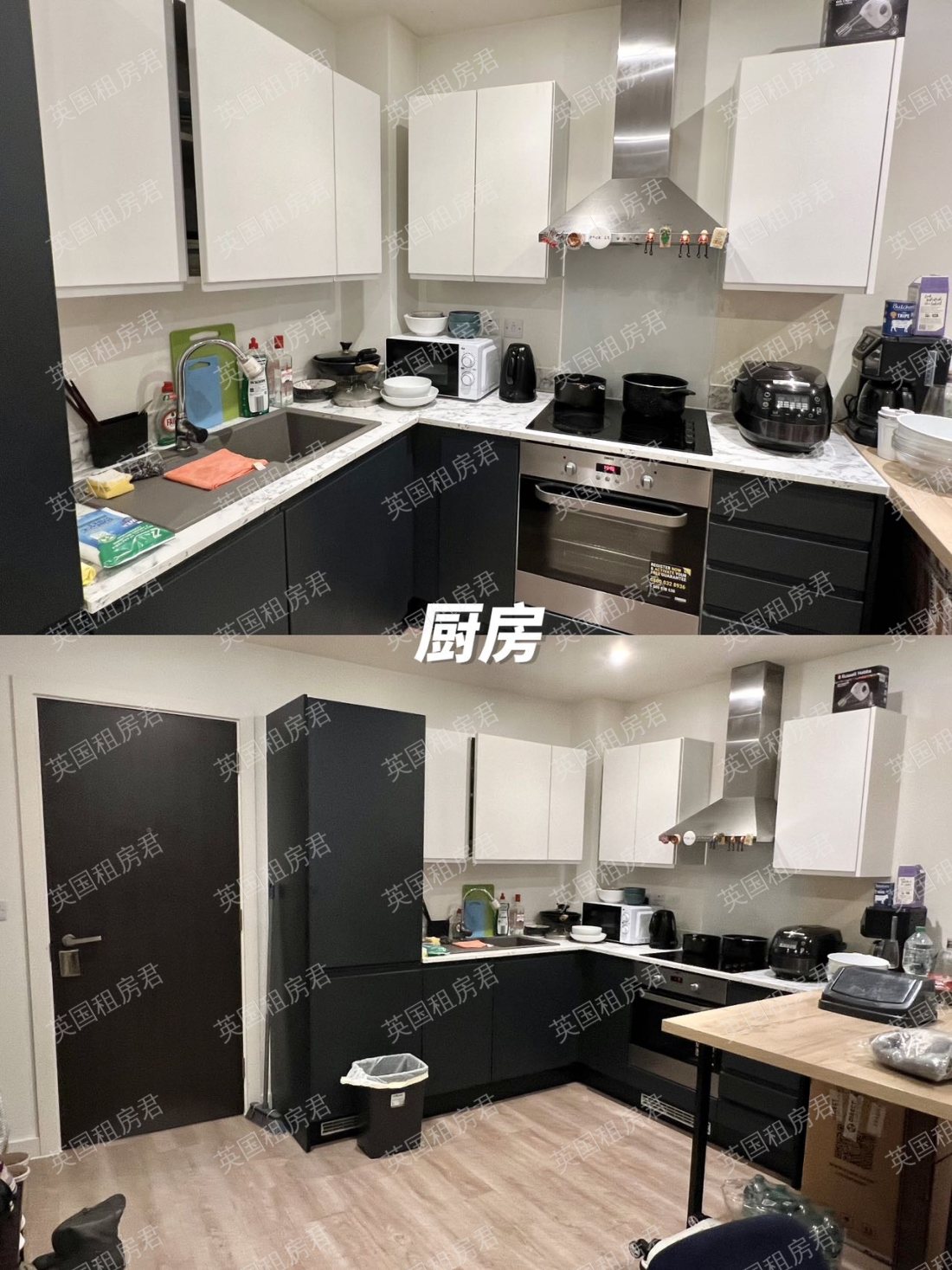 615 Laurence Place, 公寓